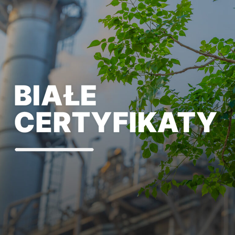 Białe Certyfikaty - świadectwa i pomiary parametrów spalin w przemyśle