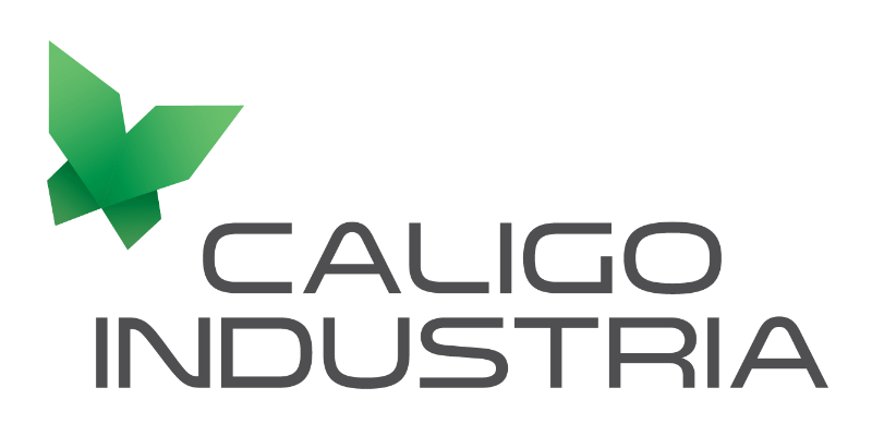 logo Caligo Industria modernizacja ciepłowni