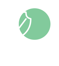 Audyt